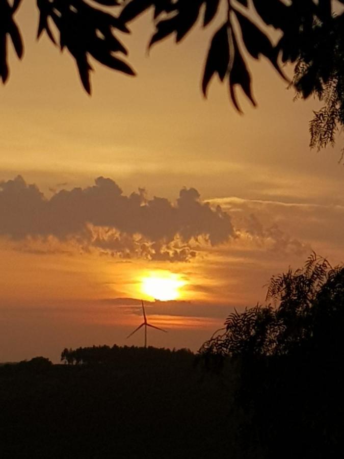 Casinha De Campo- Quintinha Dos Cavalos- Arruda Dos Vinhos Luaran gambar