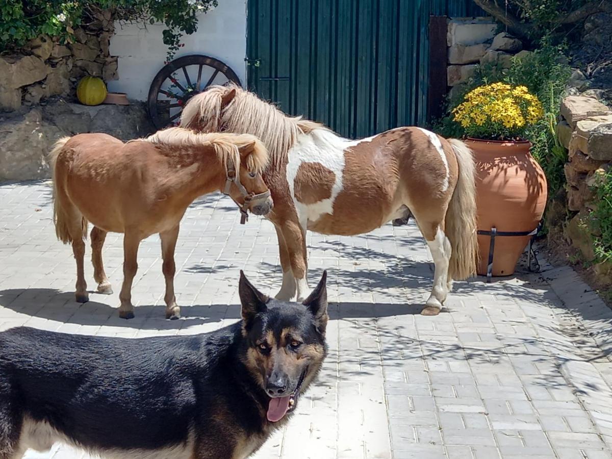 Casinha De Campo- Quintinha Dos Cavalos- Arruda Dos Vinhos Luaran gambar
