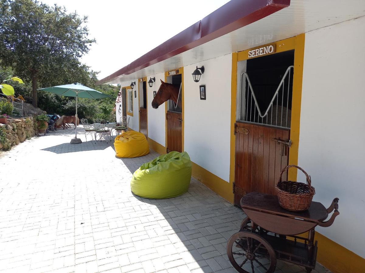 Casinha De Campo- Quintinha Dos Cavalos- Arruda Dos Vinhos Luaran gambar