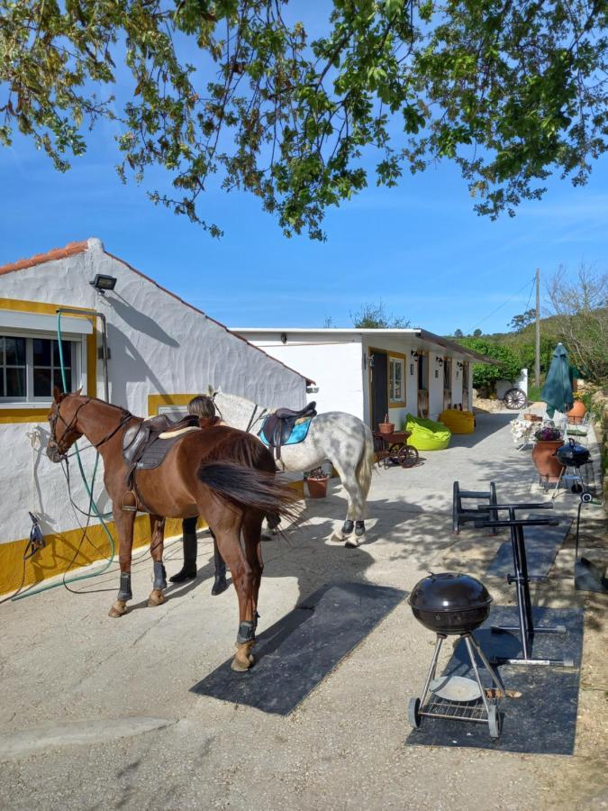 Casinha De Campo- Quintinha Dos Cavalos- Arruda Dos Vinhos Luaran gambar
