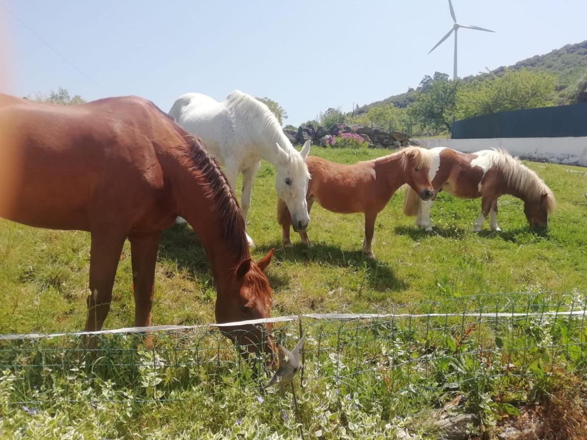 Casinha De Campo- Quintinha Dos Cavalos- Arruda Dos Vinhos Luaran gambar